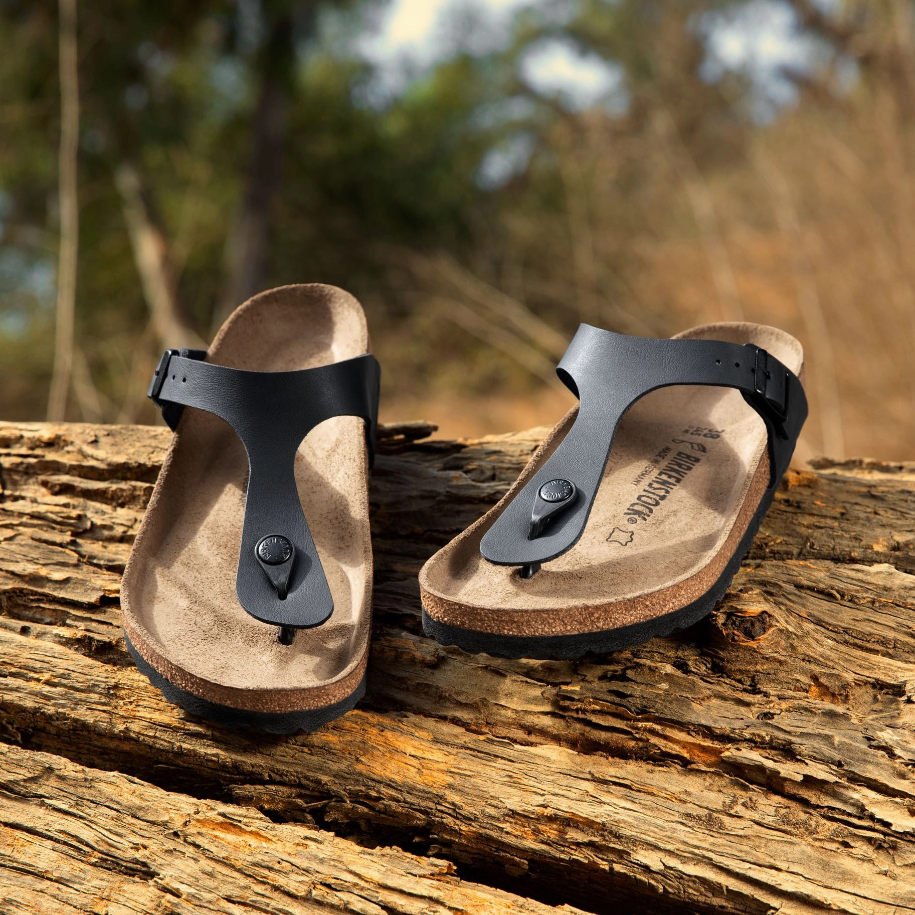 energy-efficient seniors GIZEH - BLACK - BIRKO-FLOR