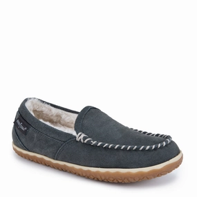 TEMPE - CINNAMON - SUEDE No Fuss