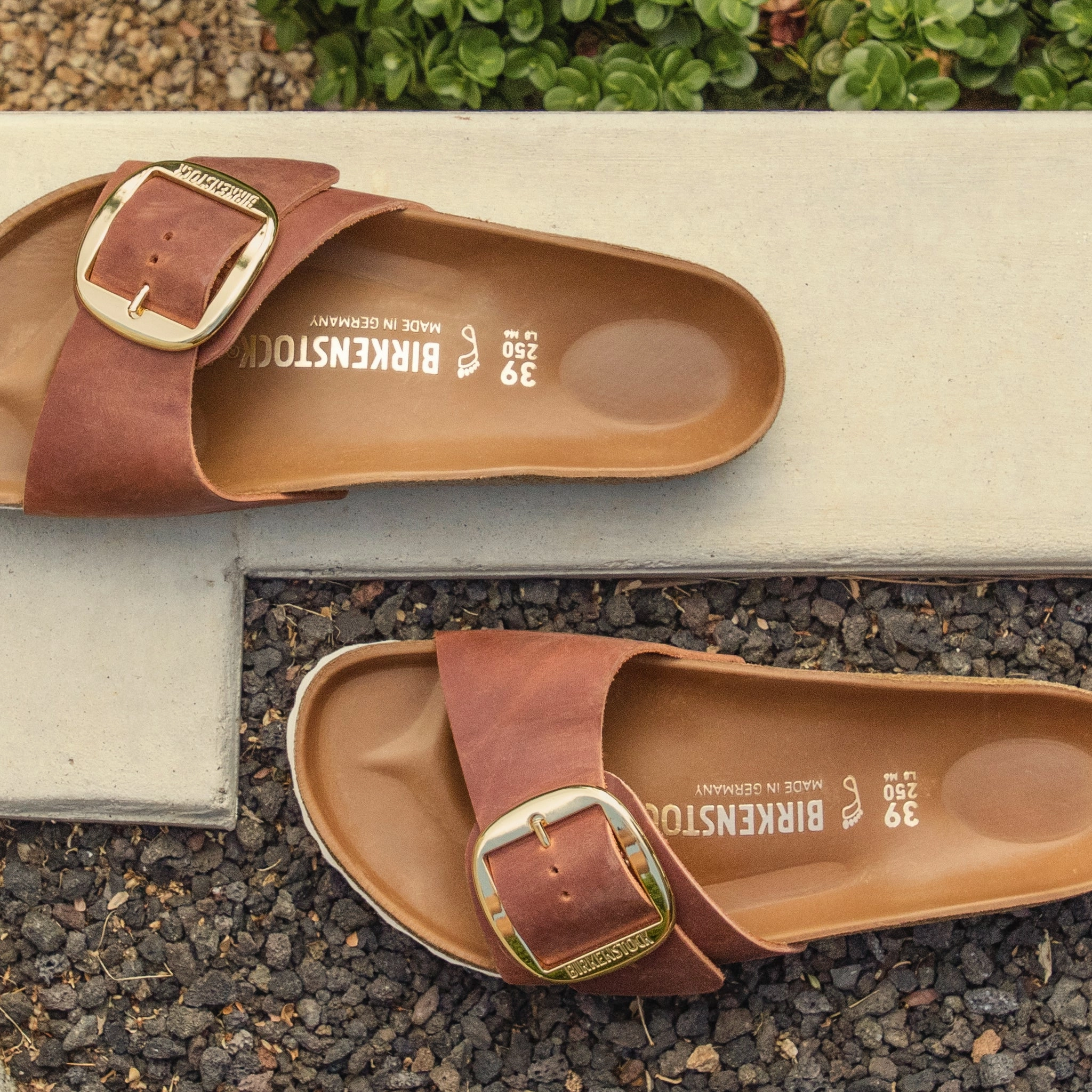 MADRID BIG BUCKLE - COGNAC - LEATHER Hydraulic Heel Suspension lace - type